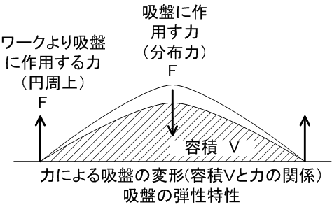 吸盤の弾性特性