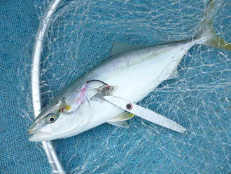 P1050022