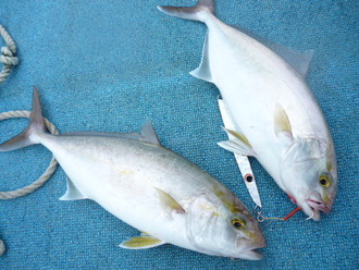 P1050050