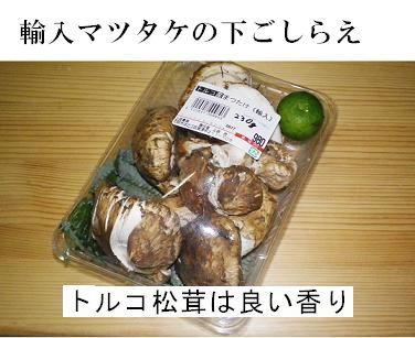 トルコ松茸サムネイル