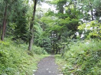 平泉 金鶏山 (13)