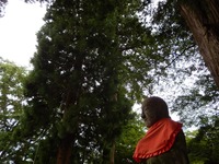 平泉 中尊寺 (16)