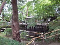 平泉 中尊寺 (15)