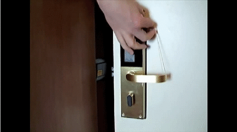 door01