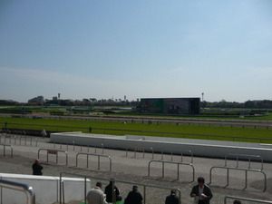 P1150301