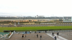 WIN_20181222_10_23_24_Pro