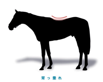 背っ垂れ
