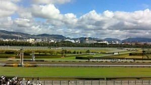 WIN_20170918_09_10_54_Pro