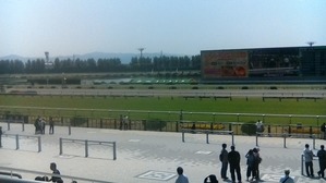WIN_20170520_09_53_06_Pro