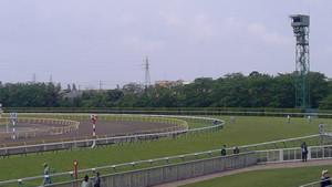 WIN_20180505_09_11_13_Pro