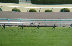 image_1