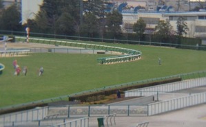 image (3)
