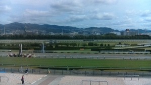 WIN_20170603_09_19_15_Pro
