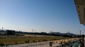 WIN_20190202_09_56_33_Pro