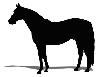 ��������-���륨�å�