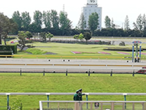 IMG_20180512_090703