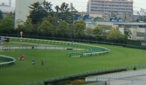 image (3)