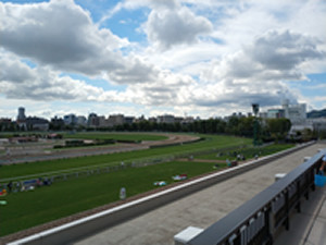 IMG_20180818_091822