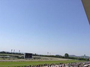 Kyoto3