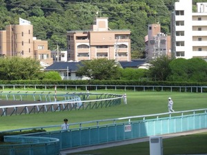 IMG_3871