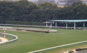 京都2/15