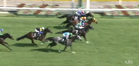 レース映像_新潟10R