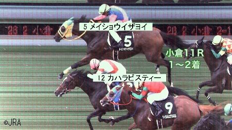 小倉11R写真