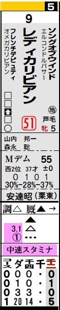 【データ分析】【前走不利】 前走で不利を受けたで敗戦した1番人気