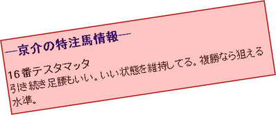 ガチンコ京介特注馬