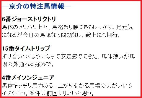 0408ダービー卿特注馬