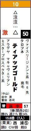 京都10Rティアップ