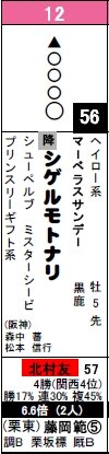 京都10Rシゲル