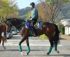 サンライズプリンス前（１週前）