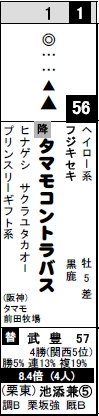 京都10Rタマモ
