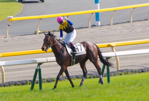 180527ダービーウイニングラン