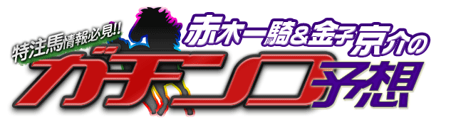ガチンコ予想 6月16日(土)・17日(日)の主な実績