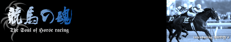����ͽ�ۥ֥��������Ϥκ�