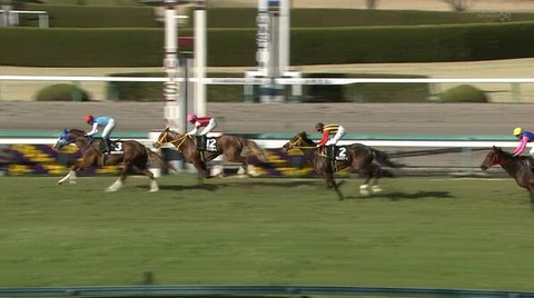 アドマイヤデウス若葉ステークス
