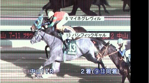 フラワーカップ 結果 同着