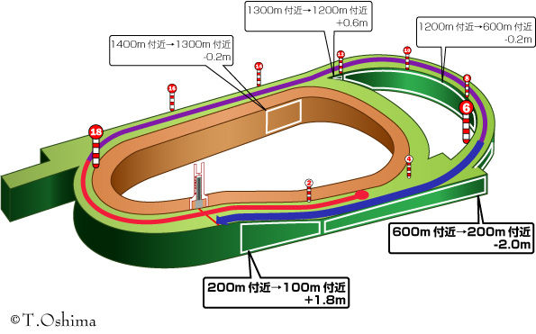 阪神芝2400m