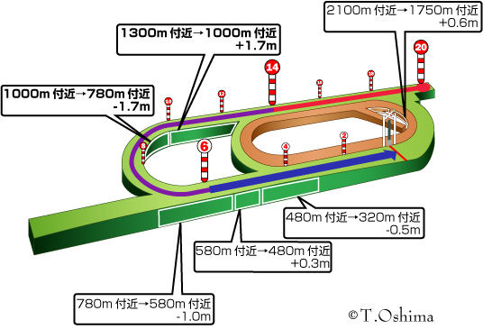 新潟芝2000m