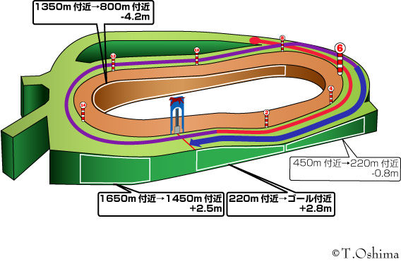 中山芝2500m