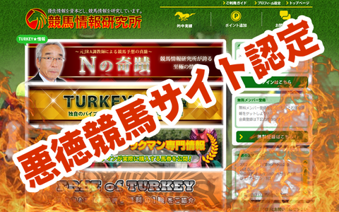 <strong>競馬情報研究所</strong>