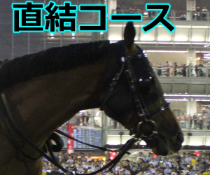 【2018年】日経新春杯予想｜過去5年の複勝圏内馬の活躍コースとは