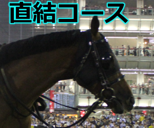 【2018年】共同通信杯予想｜過去5年の複勝圏内馬の活躍コースとは