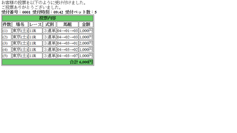 サウジアラビアRC