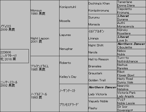 ニシノドクターヘリ5代血統表