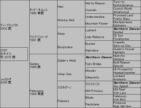 カンタービレ5代血統表