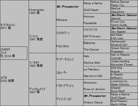 ユラノト5代血統表