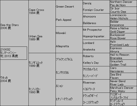 タニノアーバンシー5代血統表
